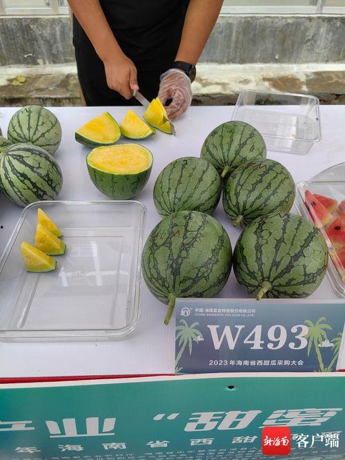 2023年顺德吃瓜网红,揭秘顺德美食界的“吃瓜”风云