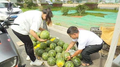 2023年顺德吃瓜网红,揭秘顺德美食界的“吃瓜”风云