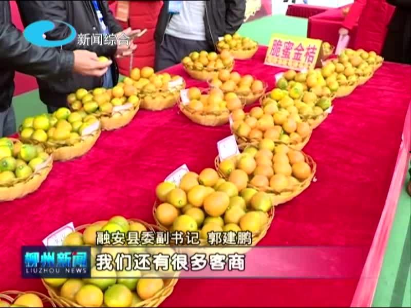 柳州今日吃瓜新闻,揭秘网红美食背后的故事