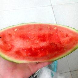 臭打球的吃瓜网,揭秘吃瓜网上的热门话题与幕后故事