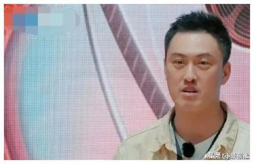 娱乐圈吃瓜爆料雷佳音,揭秘明星背后的故事