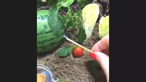 吃瓜的情景五十字