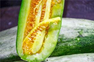 在哪吃网红瓜好吃呢