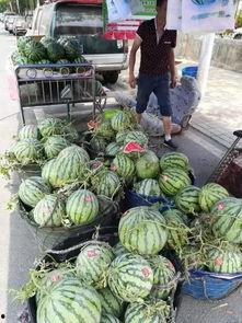 微山吃瓜网红事件