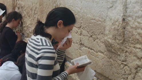 娱乐圈的吃瓜人